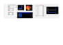 data entry, website testing, mockup design, bg removal